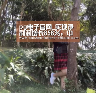 pg电子下载