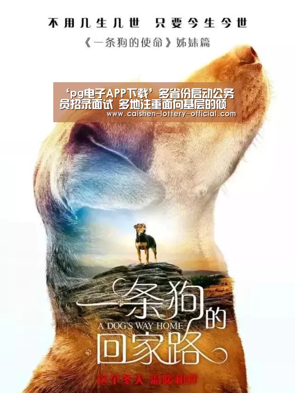 pg电子APP下载