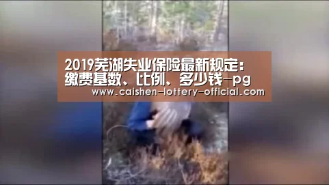 2019芜湖失业保险最新规定:缴费基数、比例、多少钱-pg电子APP下载(图1) pg电子APP下载