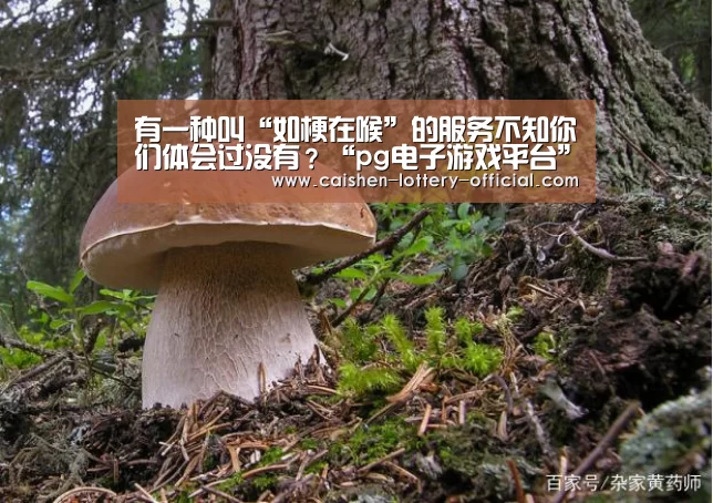 有一种叫“如梗在喉”的服务不知你们体会过没有?“pg电子游戏平台”(图3) pg电子游戏平台