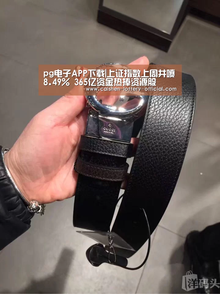 pg电子官网
