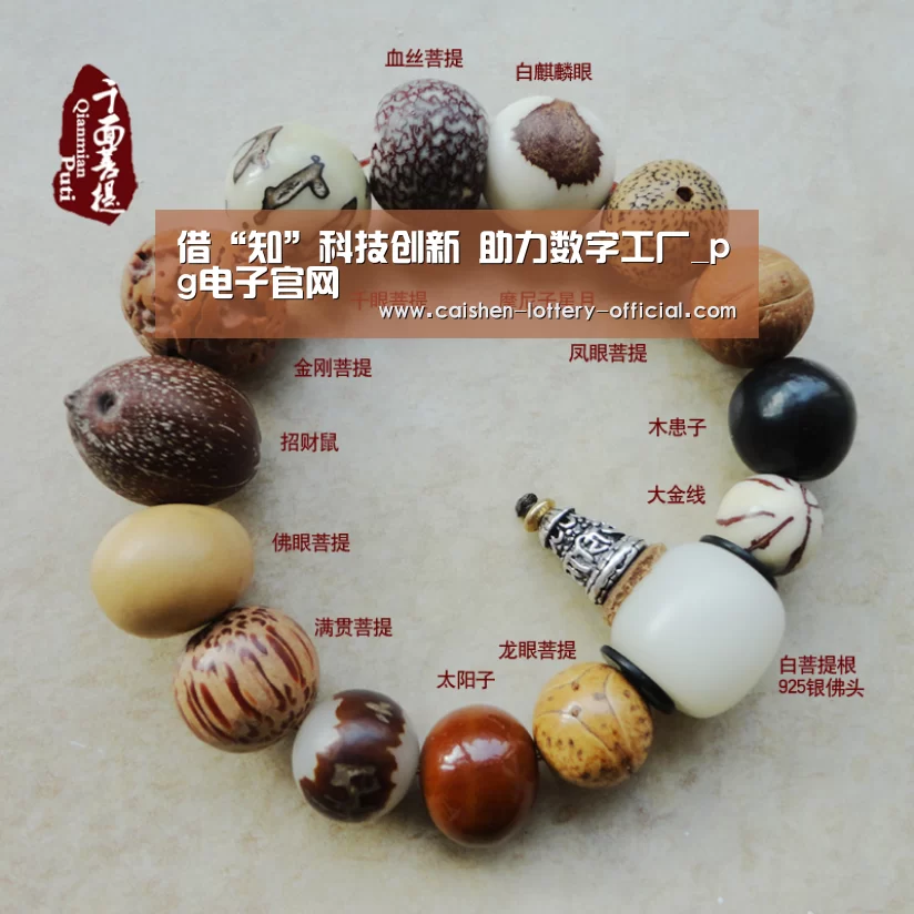 pg电子官网